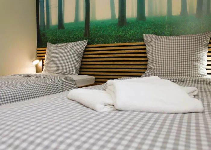 Arrivel Moosfeld - Bisher Novitel